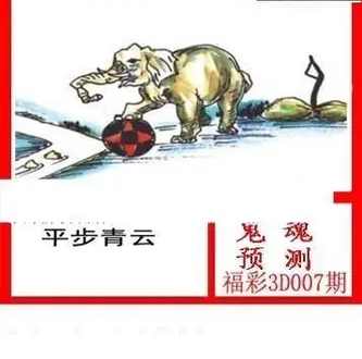 26007期: 白老3D杀码图版