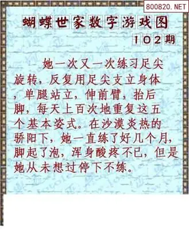 26102期: 3D蝴蝶世家蝴蝶彩图