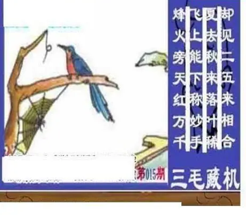 26015期: 三毛3D精品图谜