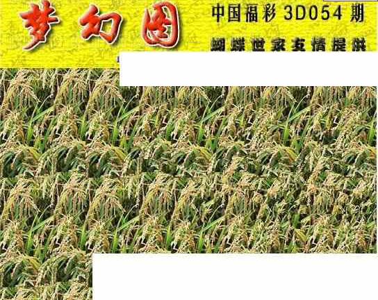 25054期: 3D蝴蝶世家蝴蝶彩图