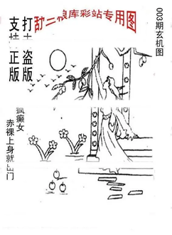 26003期: 老村长福彩3D天天图谜