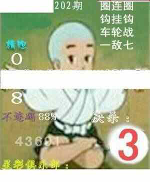 24202期: 白老3D杀码图版