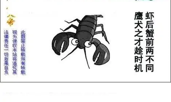 25327期: 白老3D杀码图版