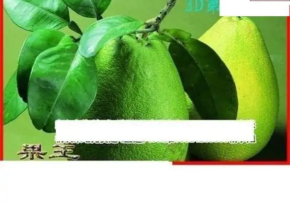 25111��: ����3Dɱ��ͼ��