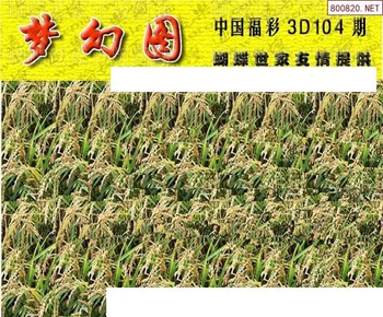 26104期: 3D蝴蝶世家蝴蝶彩图