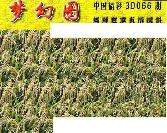 24066期: 3D蝴蝶世家蝴蝶彩图