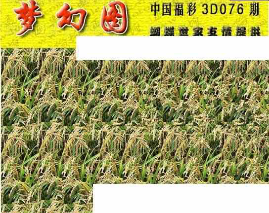 24076期: 3D蝴蝶世家蝴蝶彩图