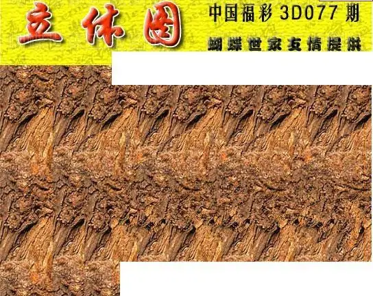 25077��: 3D�������Һ�����ͼ