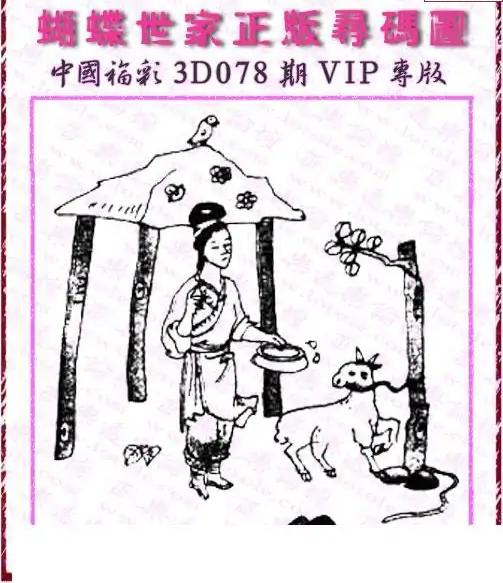 25078期: 3D蝴蝶世家蝴蝶彩图