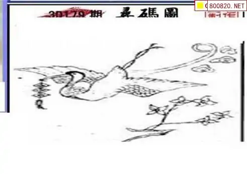 25179期: 三毛3D精品图谜