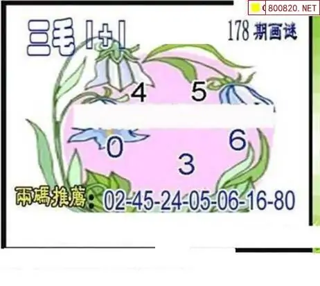 25178期: 三毛3D精品图谜