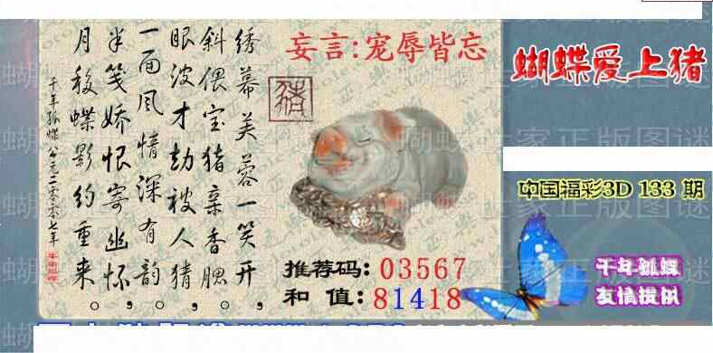 24133期: 3D蝴蝶世家蝴蝶彩图