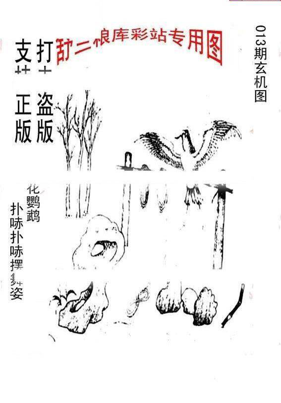 25013期: 老村长福彩3D天天图谜