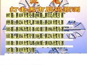 26107期: 三毛3D精品图谜