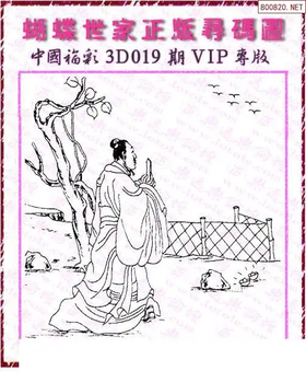 26019期: 3D蝴蝶世家蝴蝶彩图