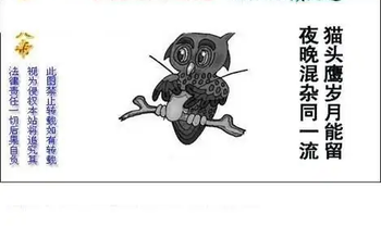 25351期: 白老3D杀码图版