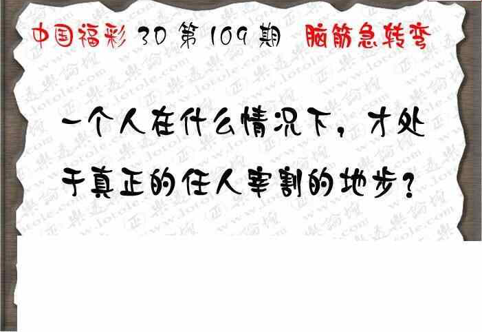 24109期: 3D蝴蝶世家蝴蝶彩图