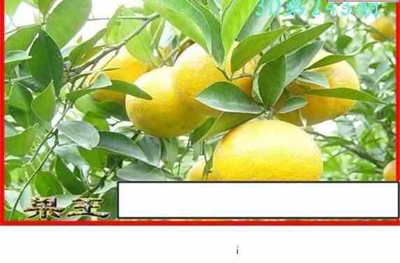 24243��: ����3Dɱ��ͼ��