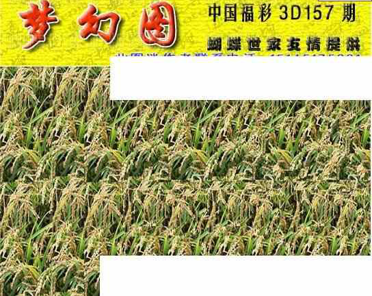 24157期: 3D蝴蝶世家蝴蝶彩图