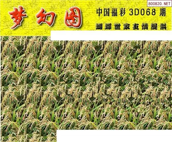 26068期: 3D蝴蝶世家蝴蝶彩图