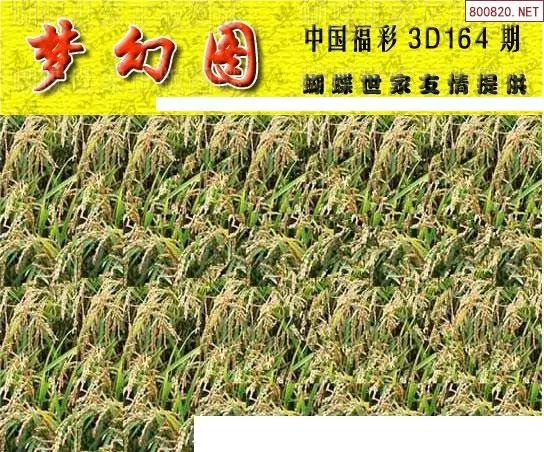 25164期: 3D蝴蝶世家蝴蝶彩图