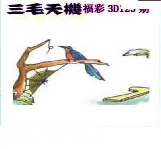 25123期: 三毛3D精品图谜