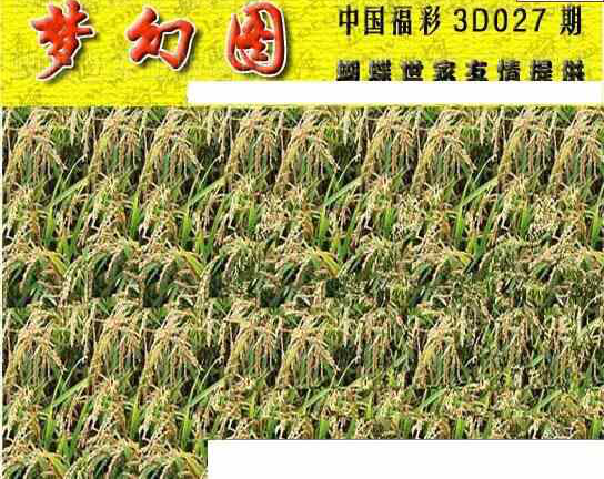 25027期: 3D蝴蝶世家蝴蝶彩图