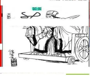 26054期: 三毛3D精品图谜