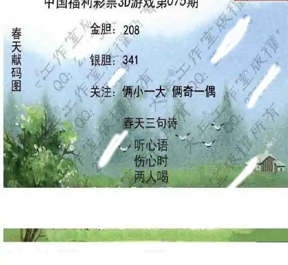 25075期: 大兵福彩3D黄金报图版