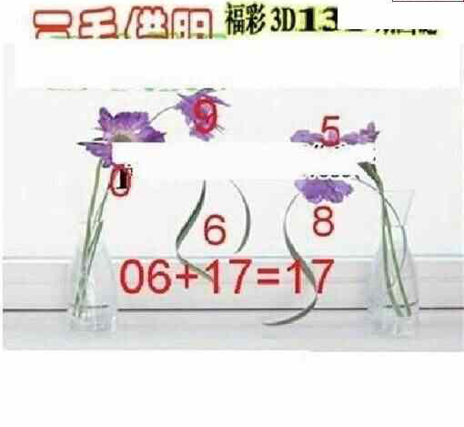 24131期: 三毛3D精品图谜