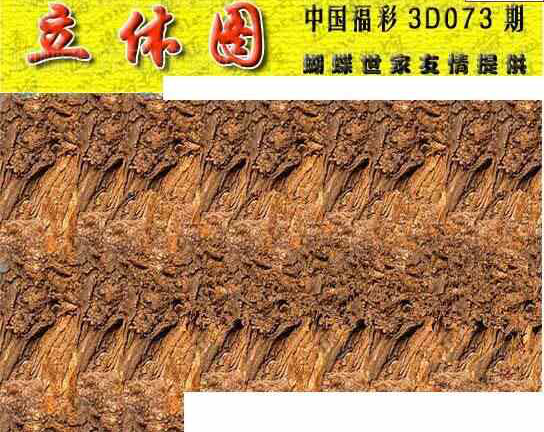 24073期: 3D蝴蝶世家蝴蝶彩图