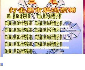 26080期: 三毛3D精品图谜