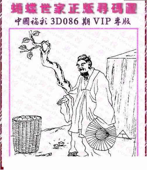 24086期: 3D蝴蝶世家蝴蝶彩图