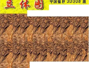 25308期: 3D蝴蝶世家蝴蝶彩图