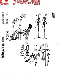 26078期: 老村长福彩3D天天图谜