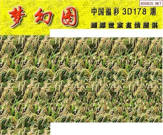 25178期: 3D蝴蝶世家蝴蝶彩图