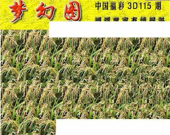 24115期: 3D蝴蝶世家蝴蝶彩图