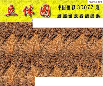 26077期: 3D蝴蝶世家蝴蝶彩图