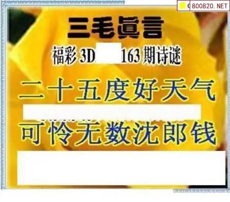 25163期: 三毛3D精品图谜