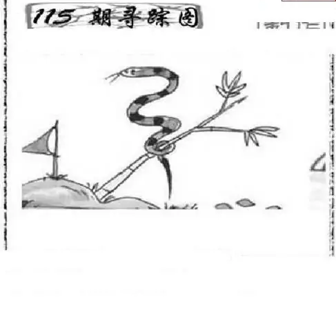 25115期: 三毛3D精品图谜