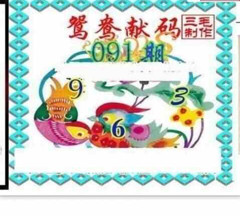 24091期: 三毛3D精品图谜