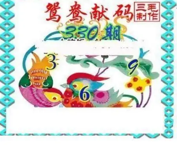 25330期: 三毛3D精品图谜