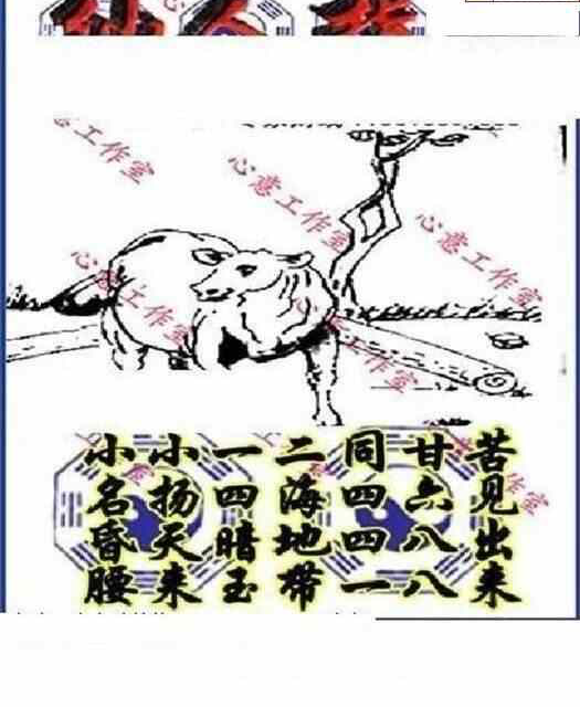 24112期: 三毛3D精品图谜