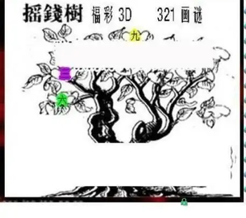 25321期: 三毛3D精品图谜