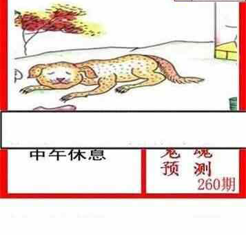 24260期: 白老3D杀码图版