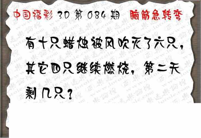 24084期: 3D蝴蝶世家蝴蝶彩图