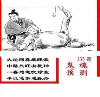 25335期: 三毛3D精品图谜