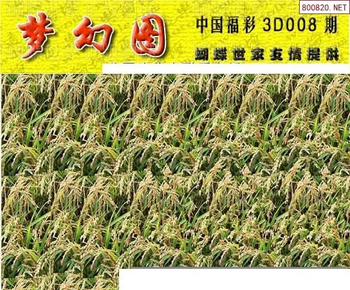 26008期: 3D蝴蝶世家蝴蝶彩图