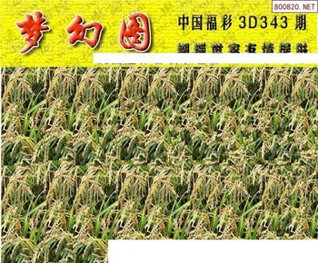 25343期: 3D蝴蝶世家蝴蝶彩图