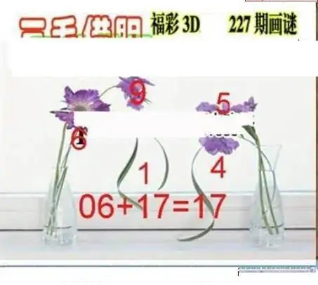 25227期: 三毛3D精品图谜